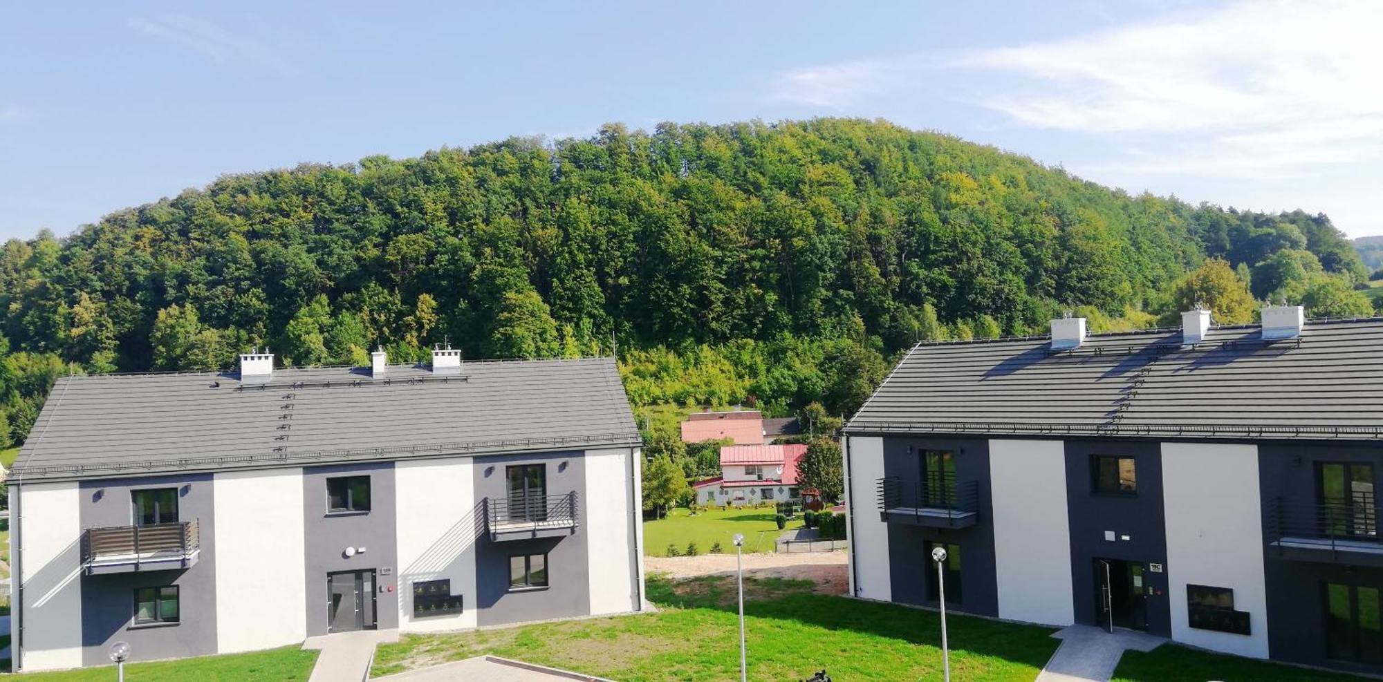 Apartment Roku 2025 !! Spa & Relax Jelen & Natura Kudowa-Zdroj Dış mekan fotoğraf